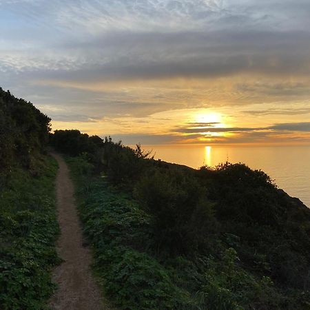 Villa Montalbo Vue Mer De 2 A 10 Personnes Cargèse Kültér fotó
